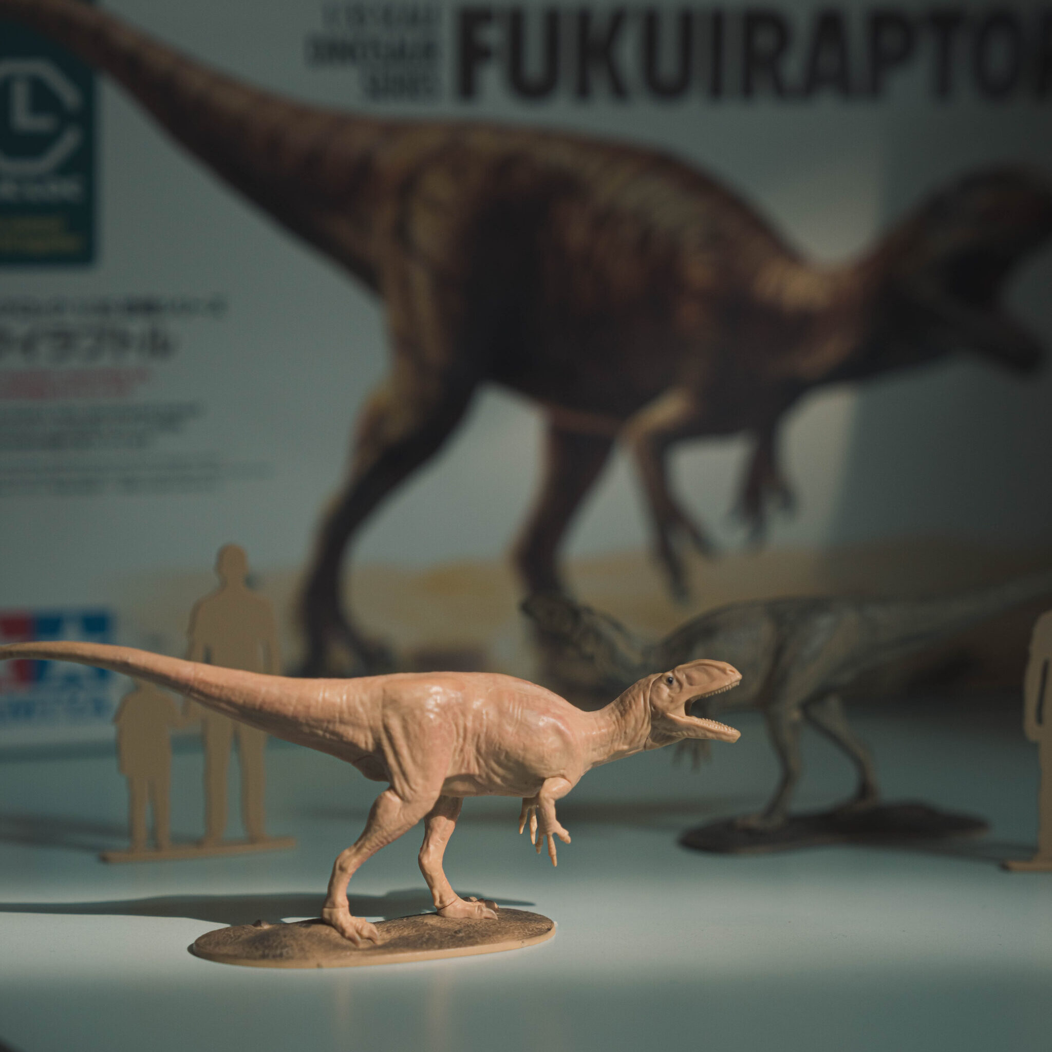 [Limited to extended evening hours on 10/10] Fukuiraptor